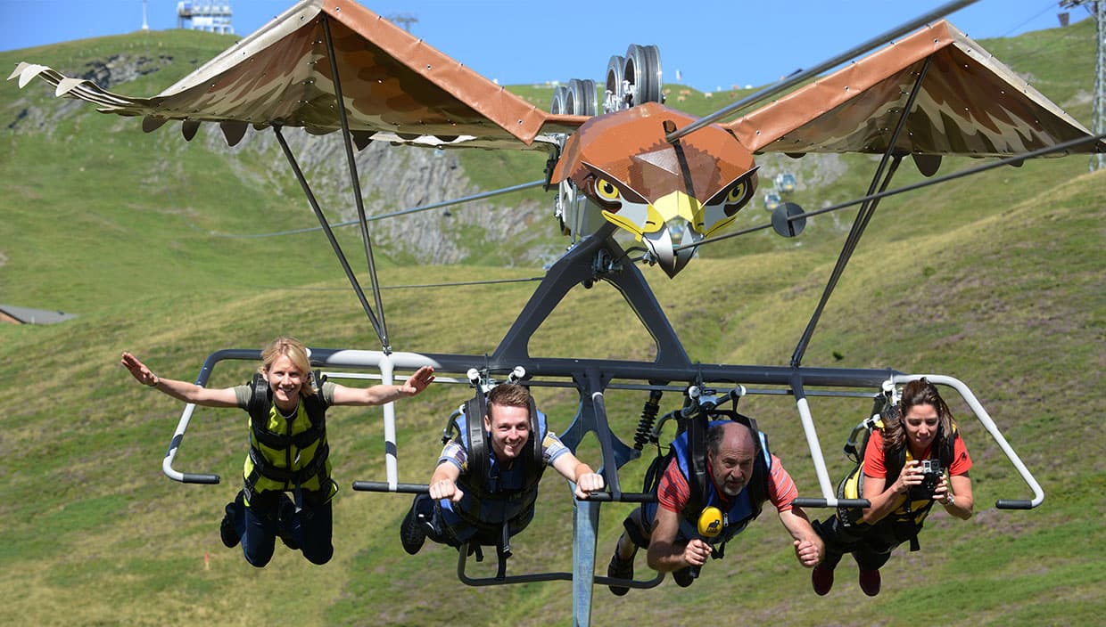 Skyglider in Grinelwald